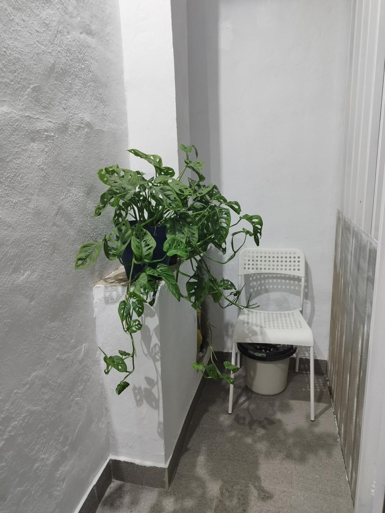 Casa De Maria Luisa Apartment Arona  Exterior photo